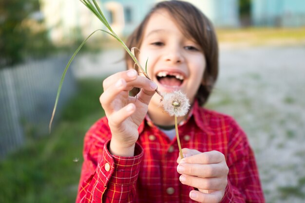 Little cute boy on meadow with dandelions