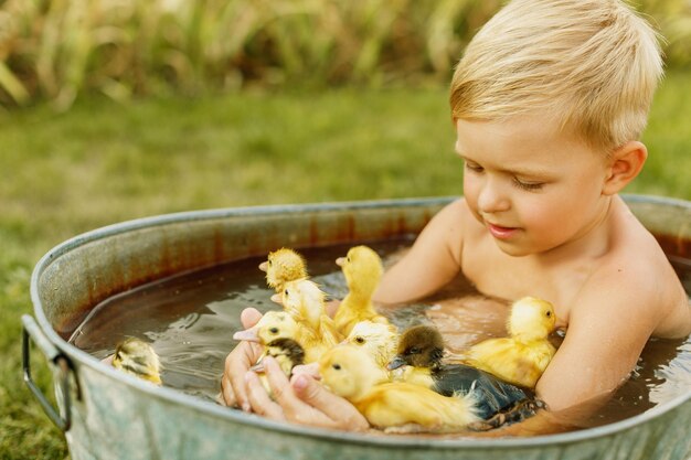 緑の草の上の水の盆地に座っている間、小さなかわいい男の子は彼の手でアヒルと遊ぶ