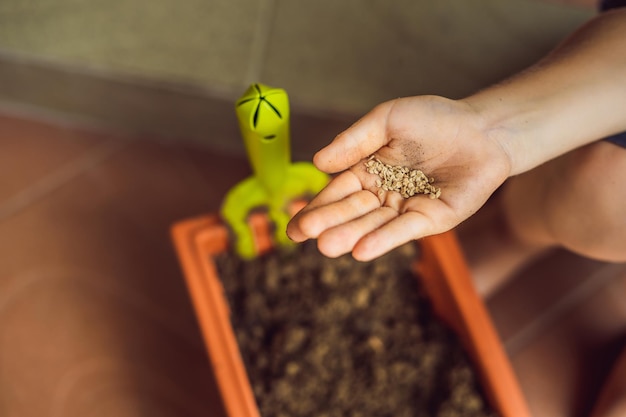 Ragazzino carino semina semi in un vaso di fiori in giardino