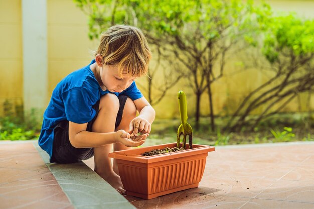 Little cute boy sows seeds in a flower pot in the garden