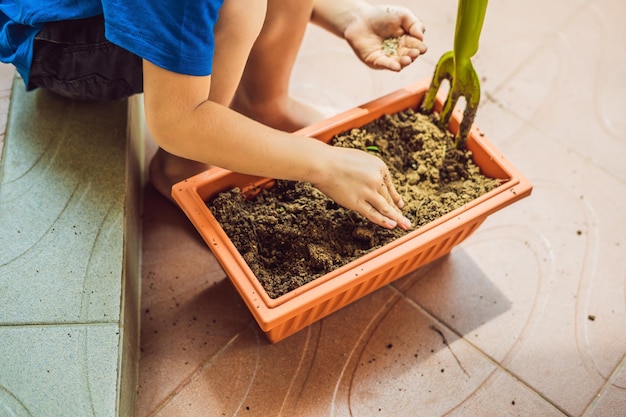 Little cute boy sows seeds in a flower pot in the garden