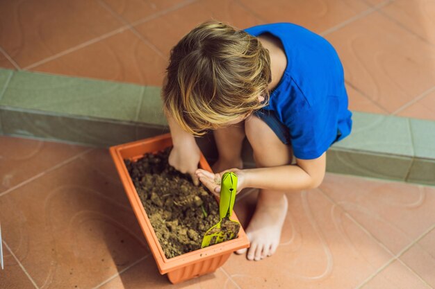 小さなかわいい男の子は庭の植木鉢に種をまきます