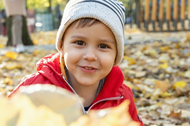 写真 公園で秋の黄色い落ち葉の花束を持つ小さなかわいい男の子