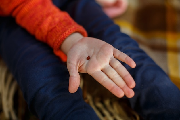 Photo little cute bug on babys hand close up. red insect with black spots. little girl with bug outdoors.