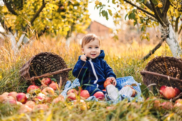 Little cute child in apple garden Pretty young child with fresh apple