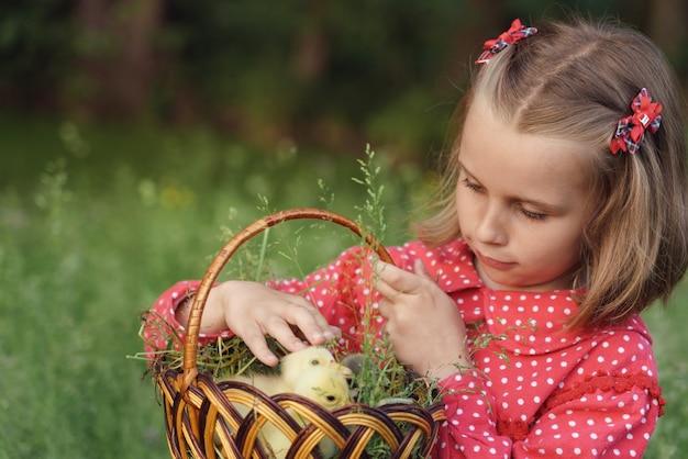 Little cute girl in red dress carrying a basket with baby ducks inside outdoor