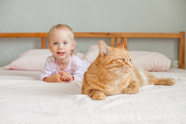 A little cute girl sits on the bed with a fat ginger cat strokes and plays with him