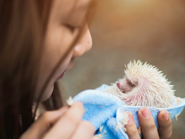 少しかわいいヘッジホッグ