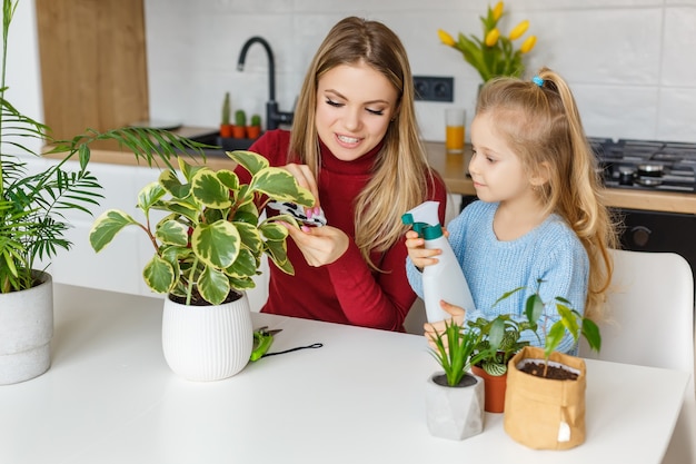 Little daughter and mother spraying and cleaning houseplants. Kid helping mom to care plants