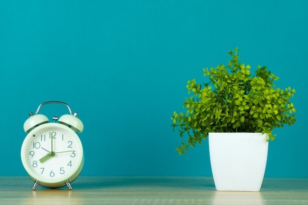 Little decorative tree with vintage alarm clock