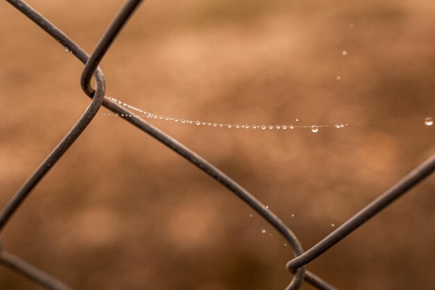 little delicate water drops on a spider web in closeup on a foggy day