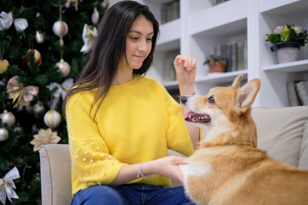 Foto cagnolino con il proprietario che gioca e si diverte giovane ragazza adolescente seduta sul divano con il suo albero di natale sullo sfondo