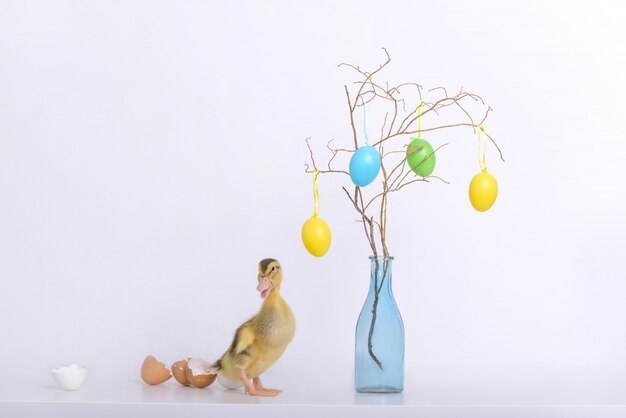 Photo little duckling and eggs shell and easter decoration