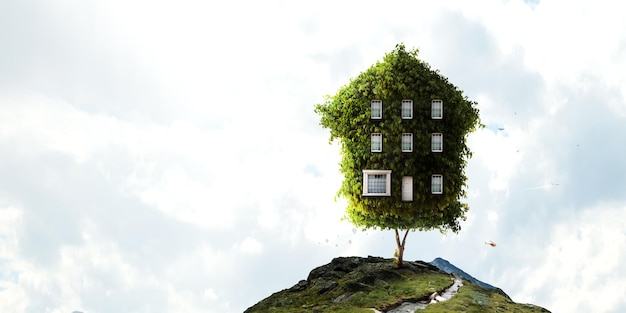 Little Eco House op het groene gras-concept. Gemengde media