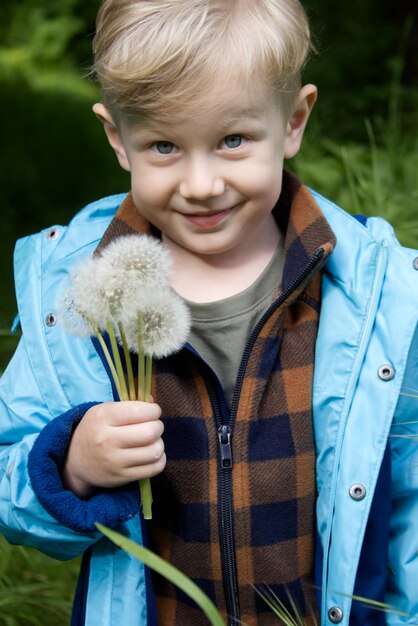 A little fairhaired boy holds white fluffy dandelions in his hands and smiles