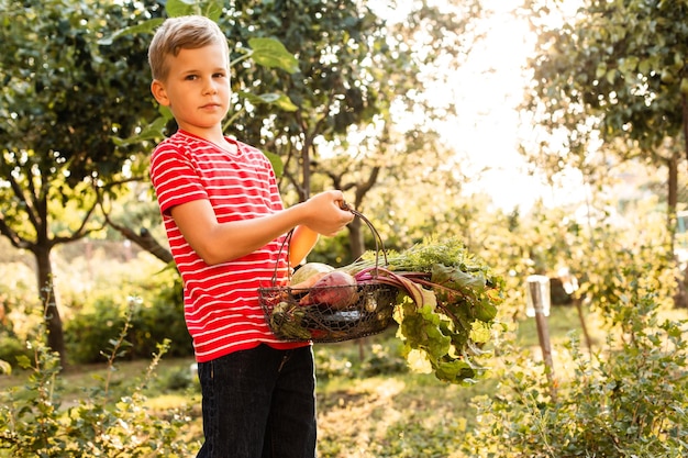 Маленький фермер держит корзину свежих овощей