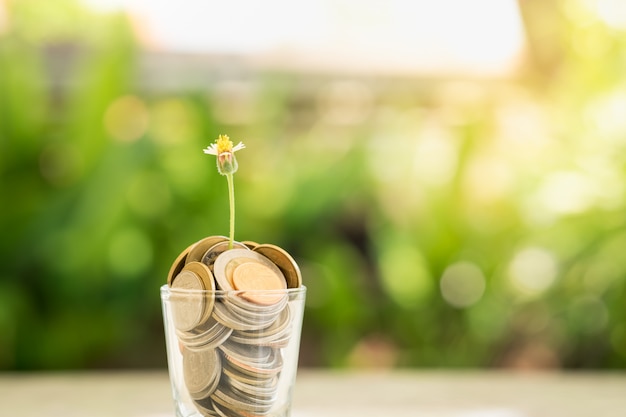 Photo a little flower growing in a glass filled with coins