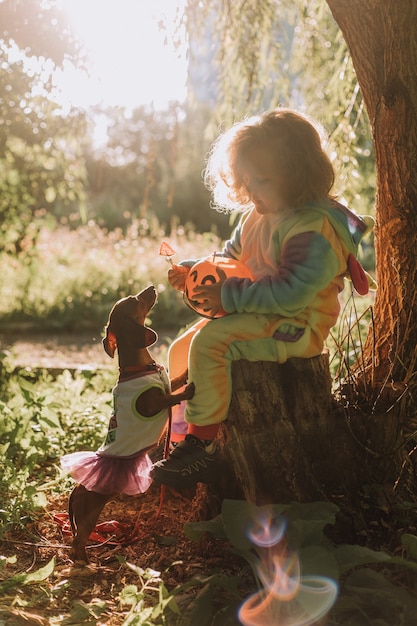 写真 小さな女の子とお菓子のカボチャのバスケットを持つダックスフントは、森の夕日の切り株に座っています