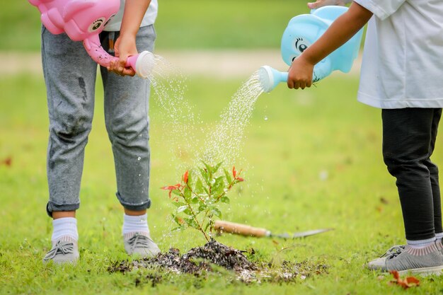 Photo little girl asia waterring the plants that have been planted in the garden