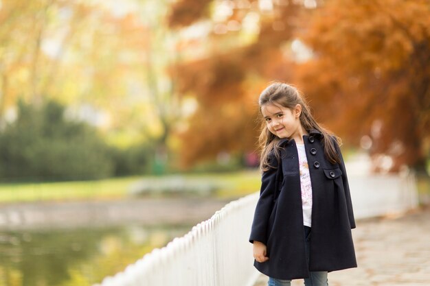 Little girl in the autumn park