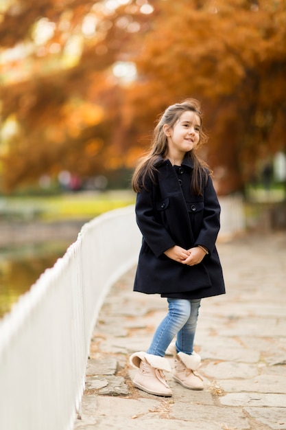 Little girl in the autumn park