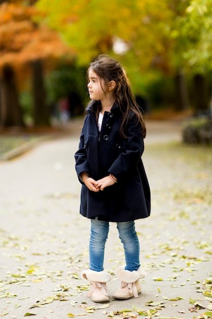 Little girl in the autumn park