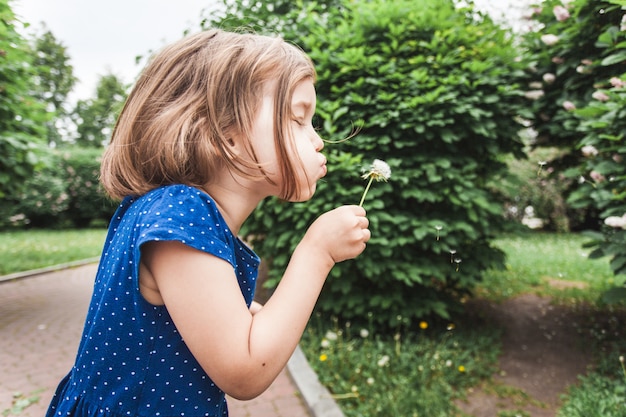 Little girl blows dandelion, flower, Bush branches, greenery, childhood, summer, communication, laughter and play