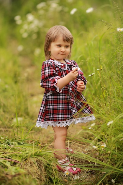 A little girl in a burgundy dress in plaid collects chamomile flowers and smiles