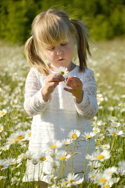 Little girl in camomiles