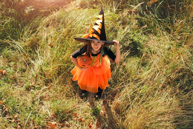 A little girl in a carnival witch costume and a big hat is standing in the tall dry grass on the eve of Halloween. A sunny day at sunset. Trick or treating. A pumpkin in the hands of a child