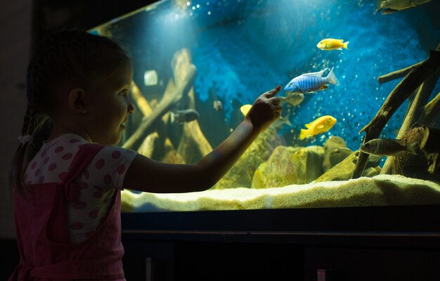 Premium Photo | Little Girl Child Looks At The Fish In The Aquarium