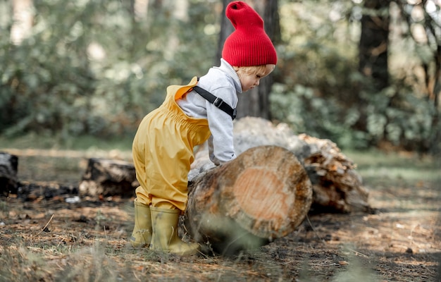 Little girl child touching old log in the autumn forest. Cute female kid at nature outdoors