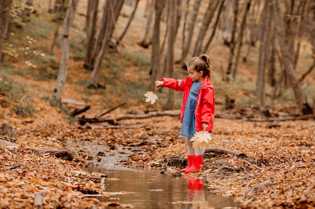 A little girl in a coat and red rubber boots walking in the autumn forest. High quality photo