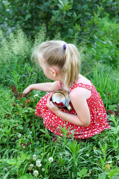 Little girl collects berries