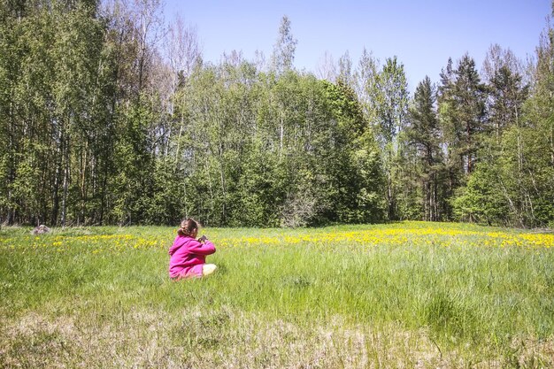 The little girl collects flowers in the countryside in sunny day