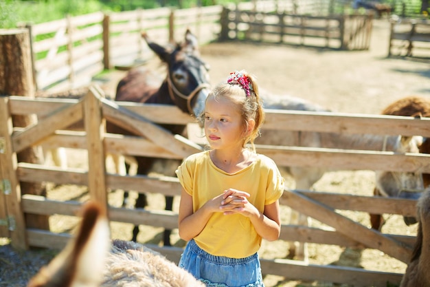 Little girl in contact farm zoo with donkeys in the countryside, a farm