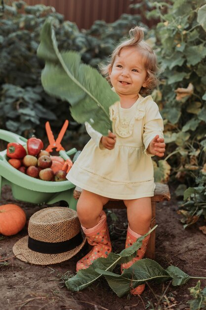 Little girl in a dress and rubber boots is harvesting garden wheelbarrow with vegetables and fruits