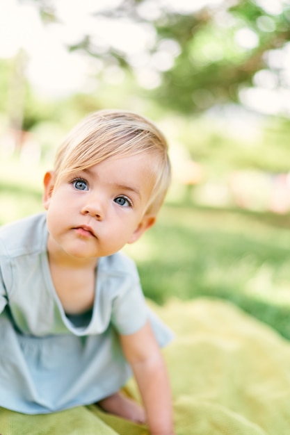 Little girl in a dress sits on a blanket on the lawn portrait