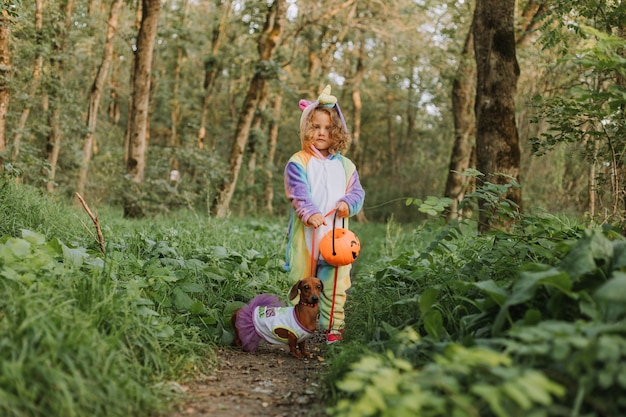 Little girl and a dwarf dachshund in Halloween costumes are walking in the forest