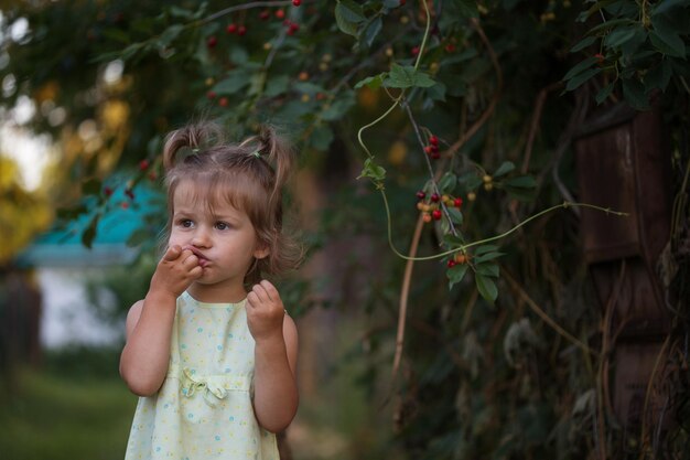 The little girl eats cherry in the garden. Summer