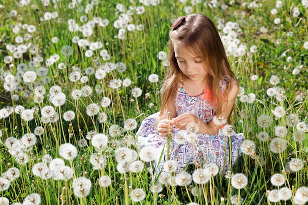 Little girl enjoy Dandelions on the field or green meadow in spring sunny day.