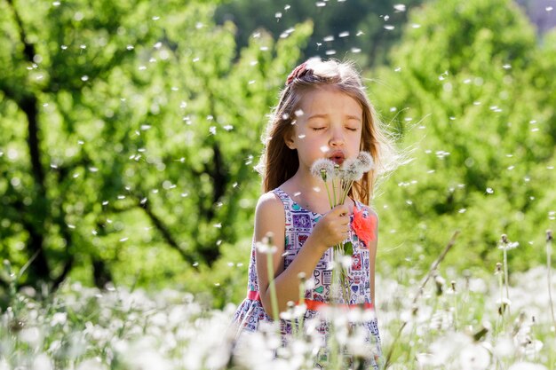 Little girl enjoy flower Dandelion on green field or meadow in the spring sunny day.