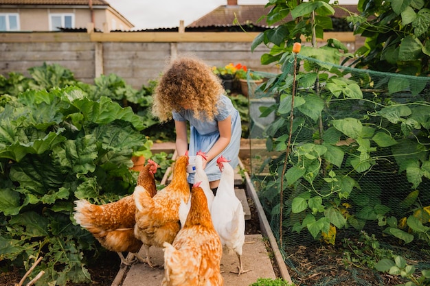 Little girl feeding chickens in allotment