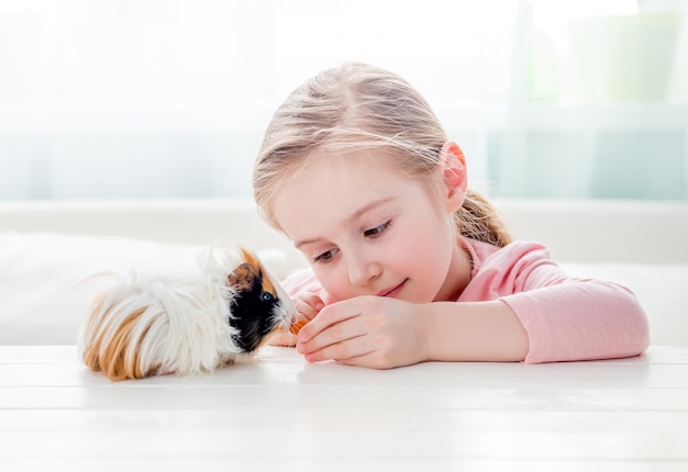 Little girl feeding her guinea pig