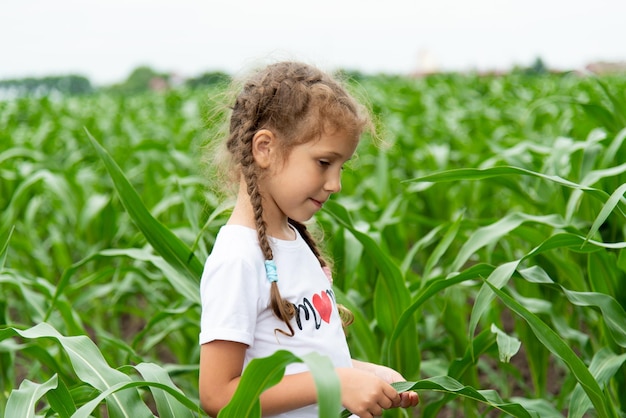 A little girl in a field of corn Nature