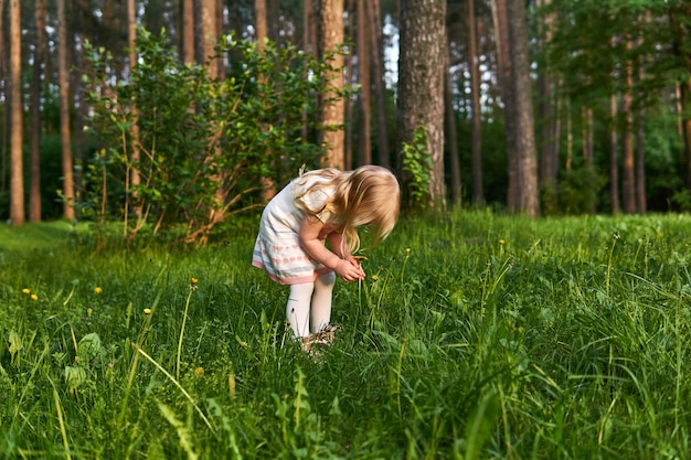 Little girl in a forest glade in surprise looks at dandelion flowers