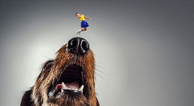 Photo little girl and giant dog. mixed media