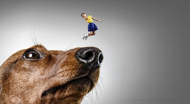 Photo little girl and giant dog. mixed media