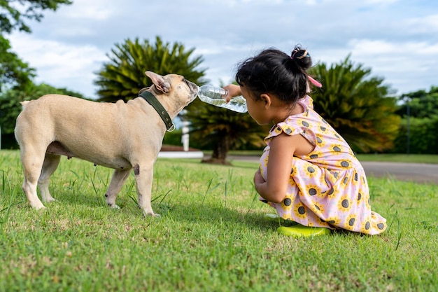 小さな女の子は、野原で犬に水を飲ませます。