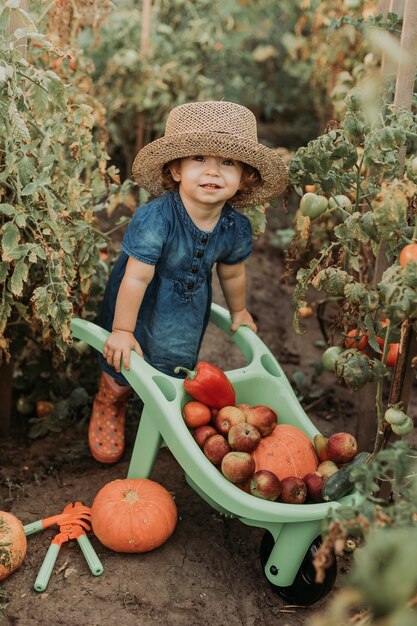 野菜や果物の作物を収穫し、庭の手押し車の若い農家にそれを置く小さな女の子